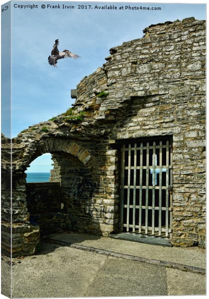 Aberystwyth Castle Canvas Print by Frank Irwin