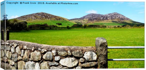 Typical Welsh landscape Canvas Print by Frank Irwin
