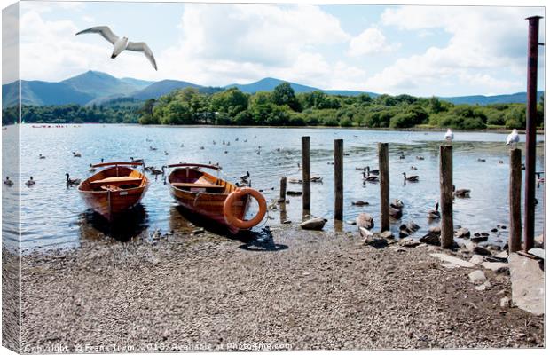 Rowing boats on Derwent water Canvas Print by Frank Irwin