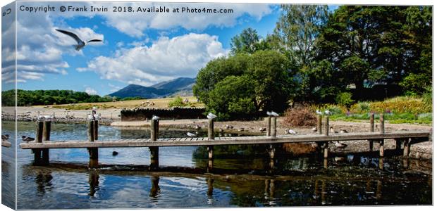 One of the many piers on Derwent Water Canvas Print by Frank Irwin