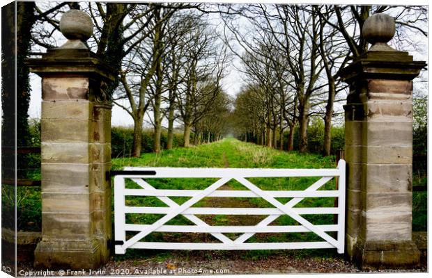 Avenue without end Canvas Print by Frank Irwin