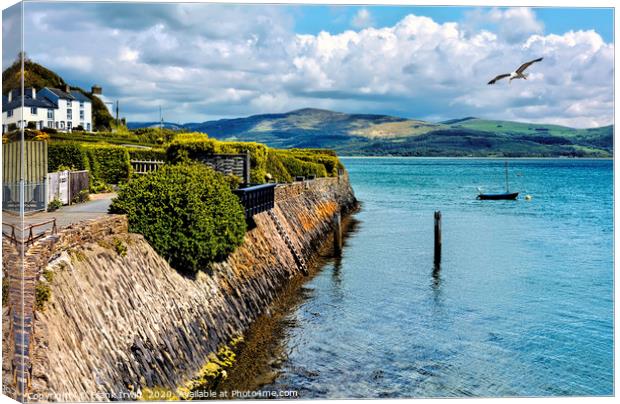 Aberdovey - End of sea front Canvas Print by Frank Irwin