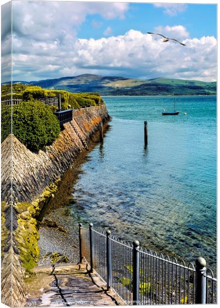 Aberdovey sea frontage Canvas Print by Frank Irwin