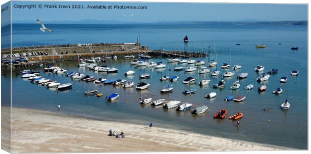 The Beautiful New Quay harbour in West Wales Canvas Print by Frank Irwin