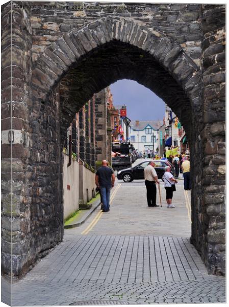 Archway built into the castle walls Canvas Print by Frank Irwin