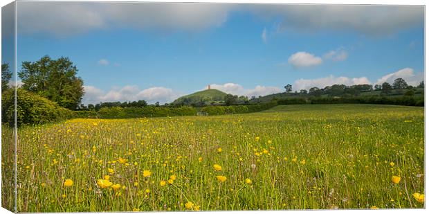 Buttercups At Glastonbury Canvas Print by Roger Byng