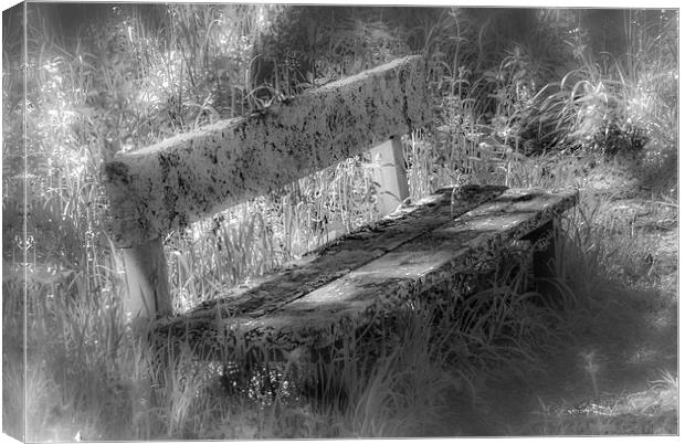 Forgotten Bench Canvas Print by Gareth Burge Photography