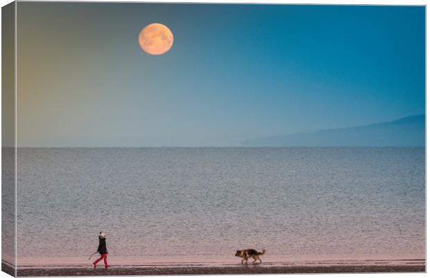 Just the Moon and my Best Friend Canvas Print by Gareth Burge Photography