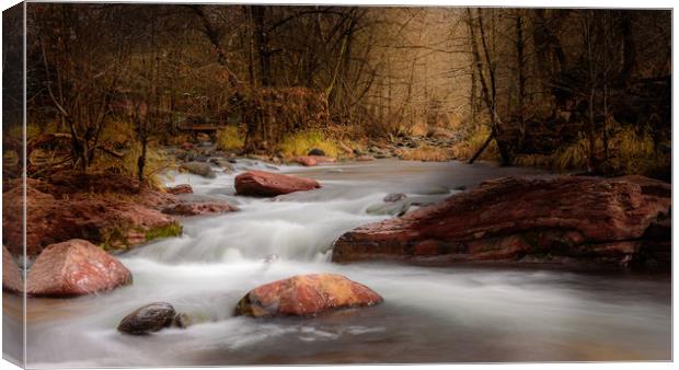 Autumn Stream, Arizona Canvas Print by Gareth Burge Photography