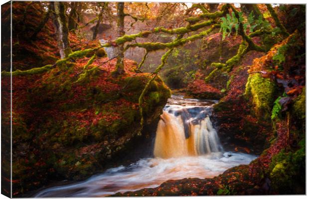Middle Fall in the Fall Canvas Print by Gareth Burge Photography