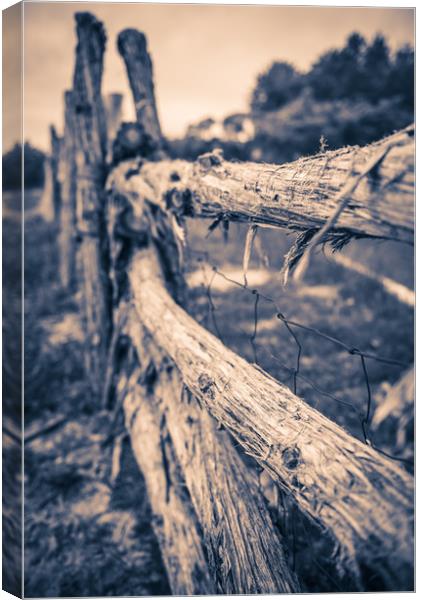 Old Rustic Fence Canvas Print by Gareth Burge Photography