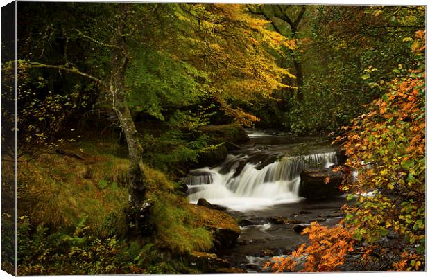 Autumn Waterfall Canvas Print by Sue Dudley