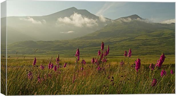 Ben More from Kinloch, Isle of Mull Canvas Print by Sue Dudley