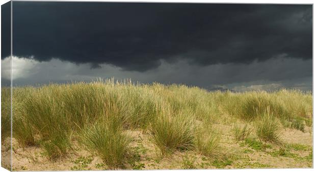 Storm over the Dunes Canvas Print by Sue Dudley