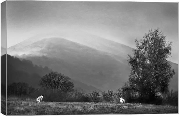  Malvern Hills from Hollybed Common Canvas Print by Sue Dudley