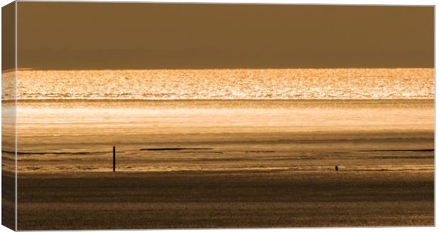 Sunset at Brean Canvas Print by Sue Dudley