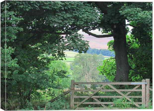 The countrysides View from the Gate Canvas Print by Sylvia howarth