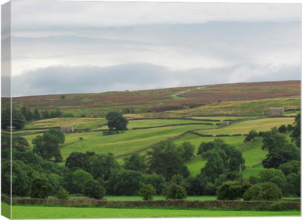 The Dales of yorkshire Canvas Print by Sylvia howarth