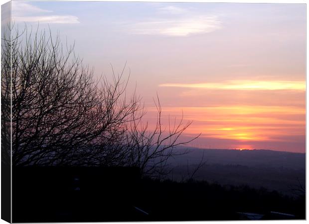 The last of the sun Canvas Print by Bill Lighterness