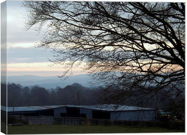 Dusk over the farm sheds Canvas Print by Bill Lighterness