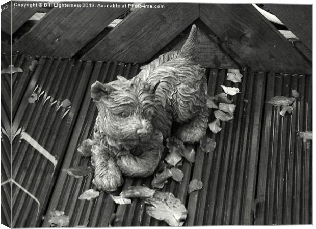 Dog on the Autumn Decking ! Canvas Print by Bill Lighterness