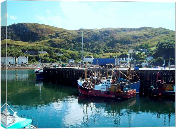 Fishing Boats in Mallaig Harbour Canvas Print by Bill Lighterness
