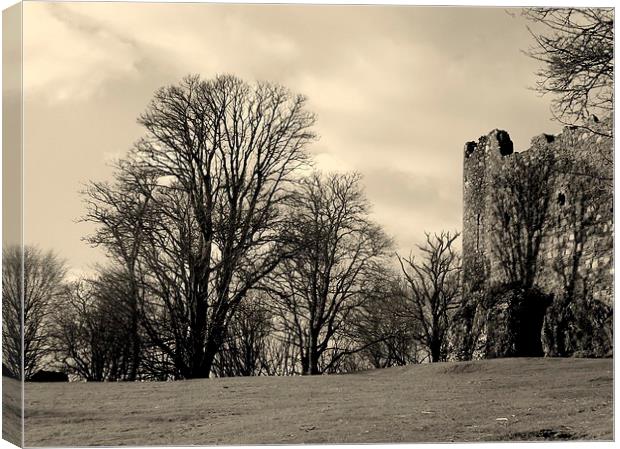 Shadows on the Castle wall Canvas Print by Bill Lighterness