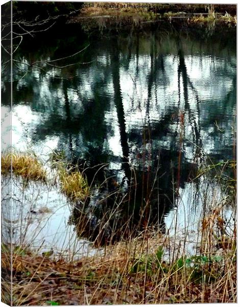 Trees in a Rippled Pond Canvas Print by Bill Lighterness