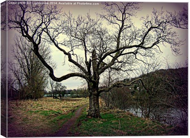 Moody tree by the River Canvas Print by Bill Lighterness