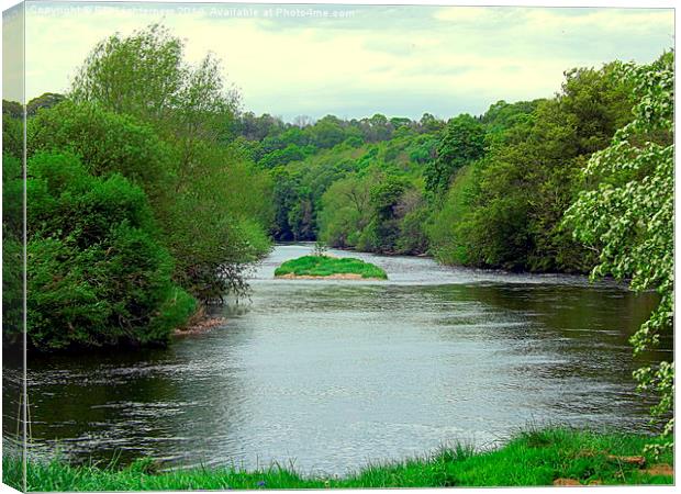 River Island ! Canvas Print by Bill Lighterness