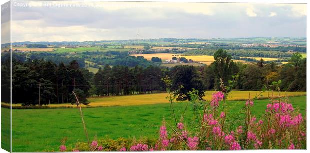  Wild Flowers over the Valley Canvas Print by Bill Lighterness