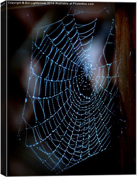  Droplets on the Spiders Web Canvas Print by Bill Lighterness