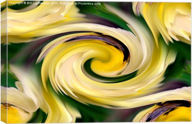  All in a Swirl Canvas Print by Bill Lighterness