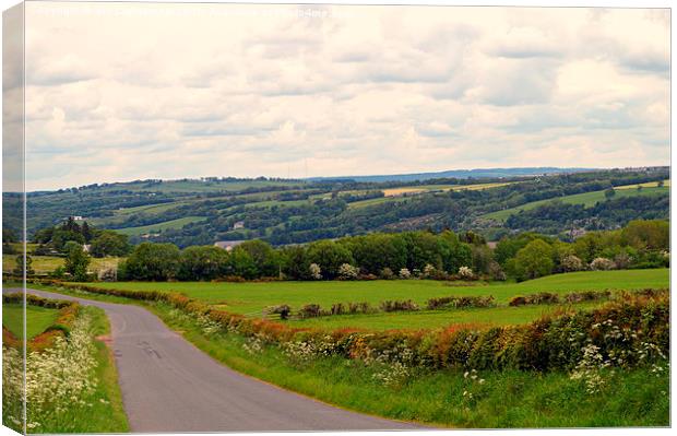  Hedgerows to Hills , Scotland Canvas Print by Bill Lighterness