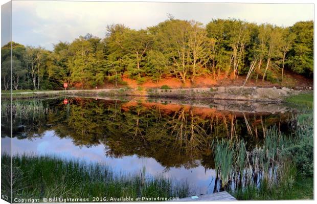 Like a Mirror Canvas Print by Bill Lighterness