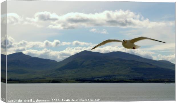 Flying over Mull Canvas Print by Bill Lighterness