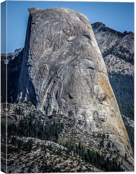 Half Dome Mountain, Yosemite Canvas Print by Rona Arkley