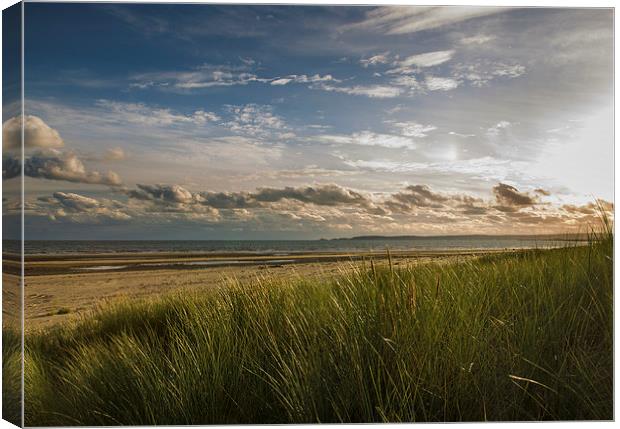 Crymlyn Burrows Beach Canvas Print by Purple OneTwoEight