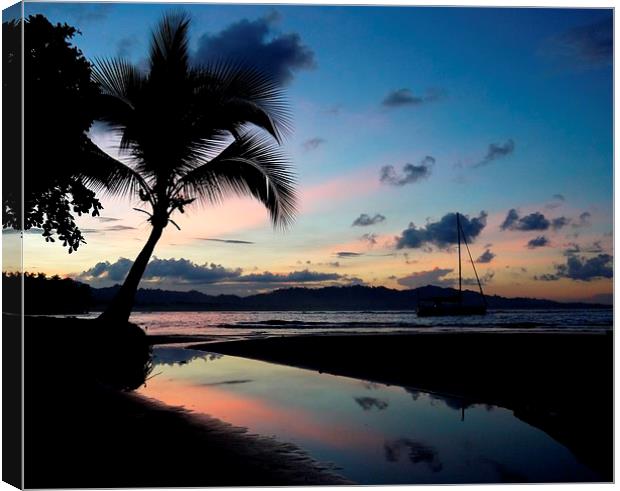 Beach Sunset Canvas Print by Laura Kenny