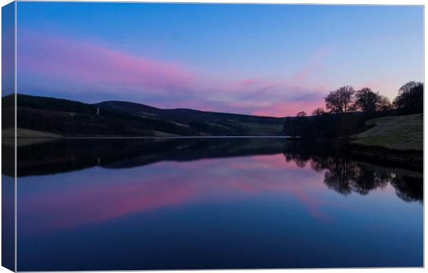 Errwood Reservoir Canvas Print by Laura Kenny