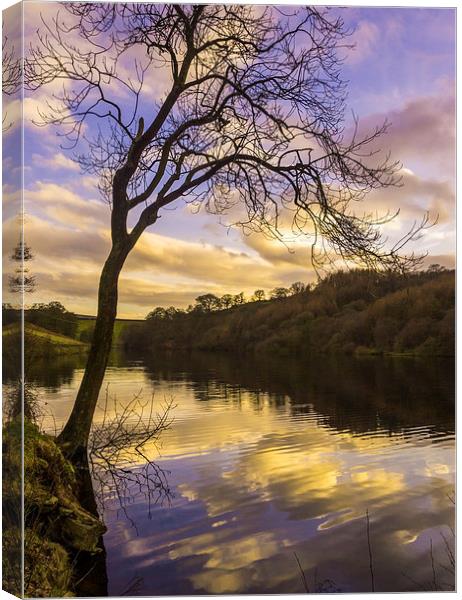 Goyt Valley Canvas Print by Laura Kenny