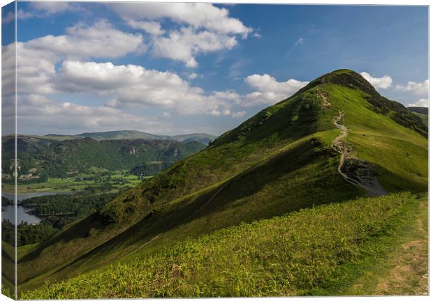 Catbells Canvas Print by Laura Kenny