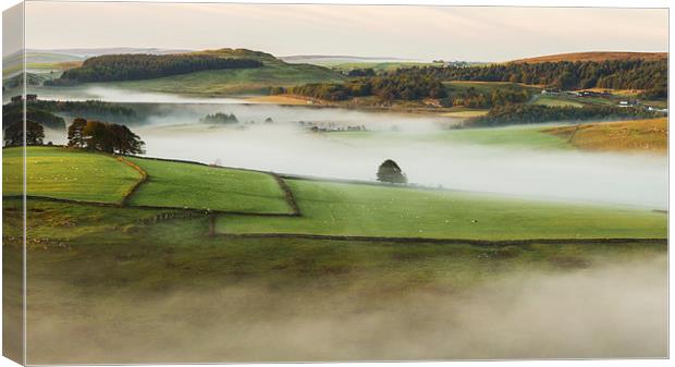  Misty Hills Canvas Print by Laura Kenny