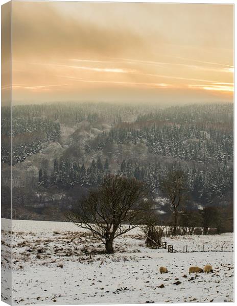 Winter in Goyt Valley Canvas Print by Laura Kenny