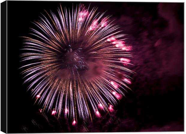 Firework Canvas Print by Laura Kenny
