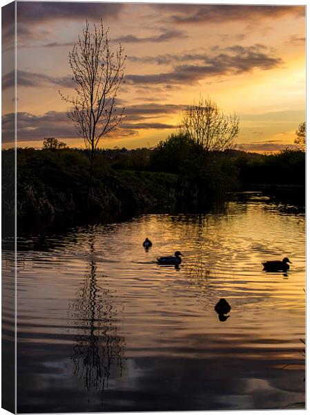  Evening on the water Canvas Print by Laura Kenny