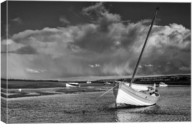 Storm at the Staithe Canvas Print by Gail Sparks
