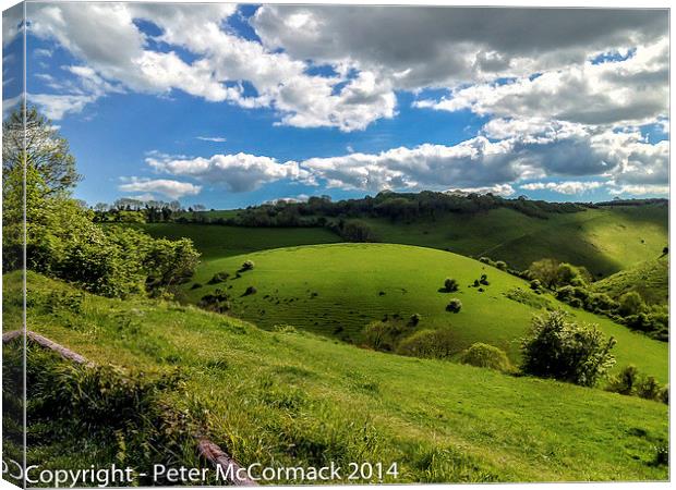 View of the South Downs, Sussex, England Canvas Print by Peter McCormack