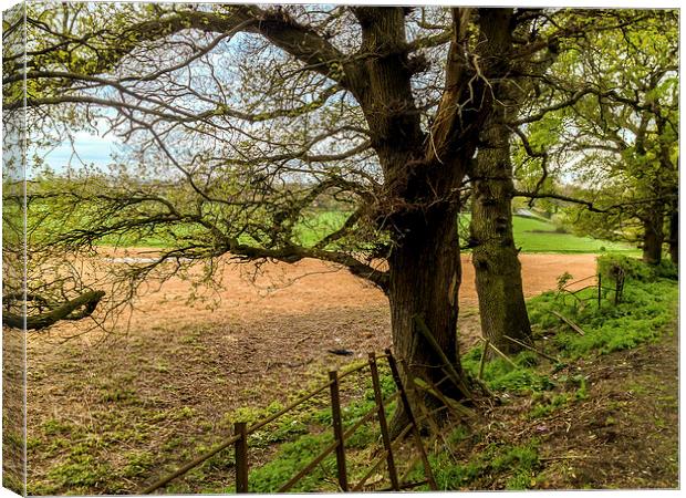 Edge of field outside Henfield, West Sussex, Engla Canvas Print by Peter McCormack