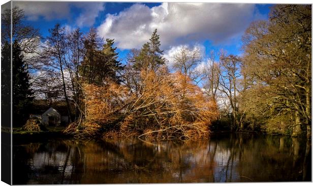 Tree fallen into pond Canvas Print by Peter McCormack